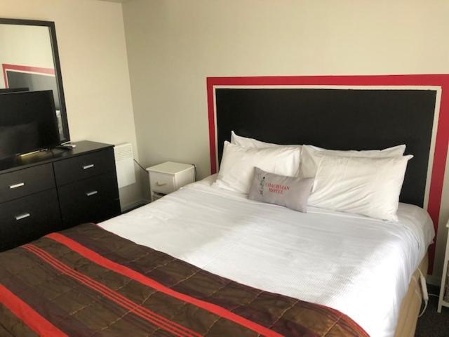 Coachman Motel Christchurch Exteriér fotografie